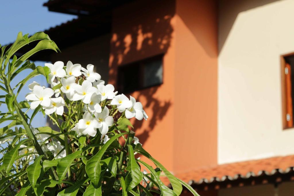 Hotel Jardim Fortaleza  Exterior photo